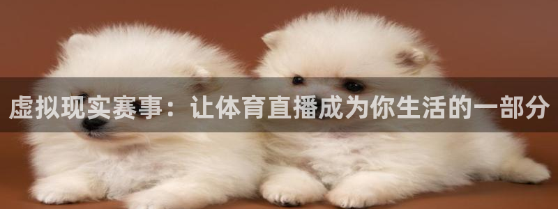 新球足球直播：虚拟现实赛事：让体育直播成为你生活的一部分