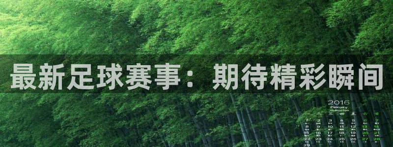 新球足球：最新足球赛事：期待精彩瞬间