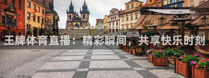新体球即时比分新球体育：王牌体育直播：精彩瞬间，共享快乐时刻