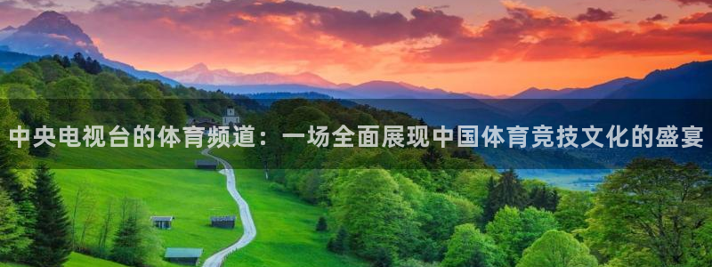 新球直播：中央电视台的体育频道：一场全面展现中国体育竞技文化的盛宴