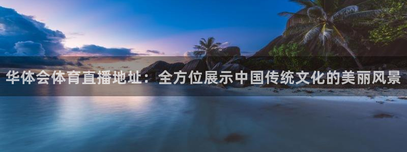 新球足球直播