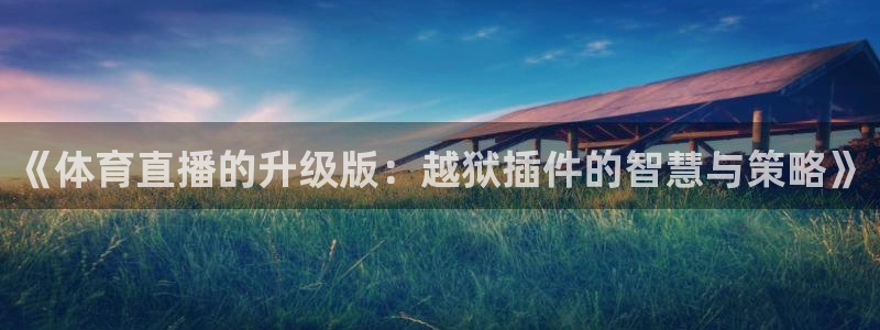 新球体育篮球比分