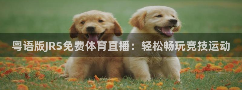 新球体育比分网：粤语版JRS免费体育直播：轻松畅玩竞技运动