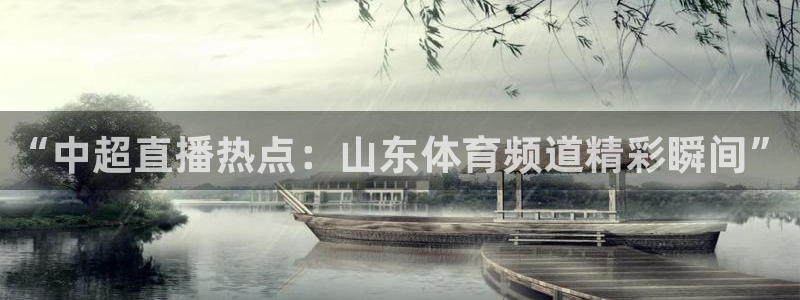 新球网直播：“中超直播热点：山东体育频道精彩瞬间”