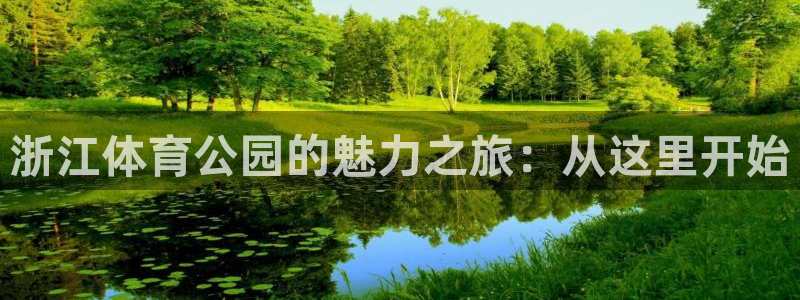 新球足球：浙江体育公园的魅力之旅：从这里开始
